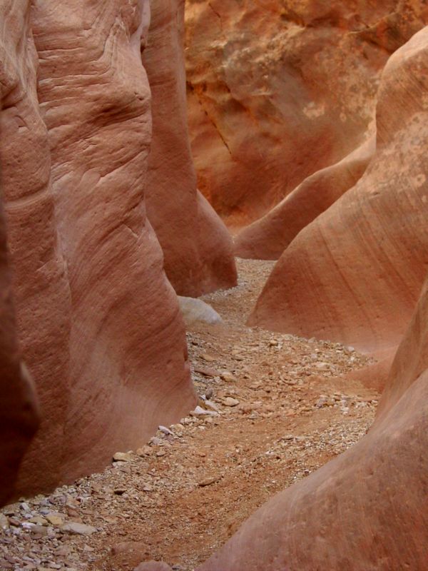 04160302LittleWildHorse (1119)